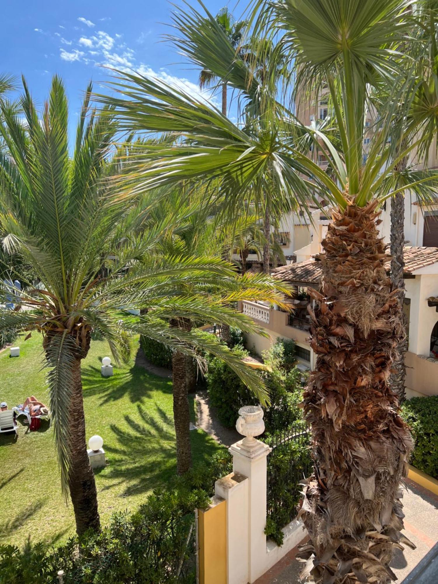 Casa Al Mare Aldea Lejlighed Torrevieja Eksteriør billede