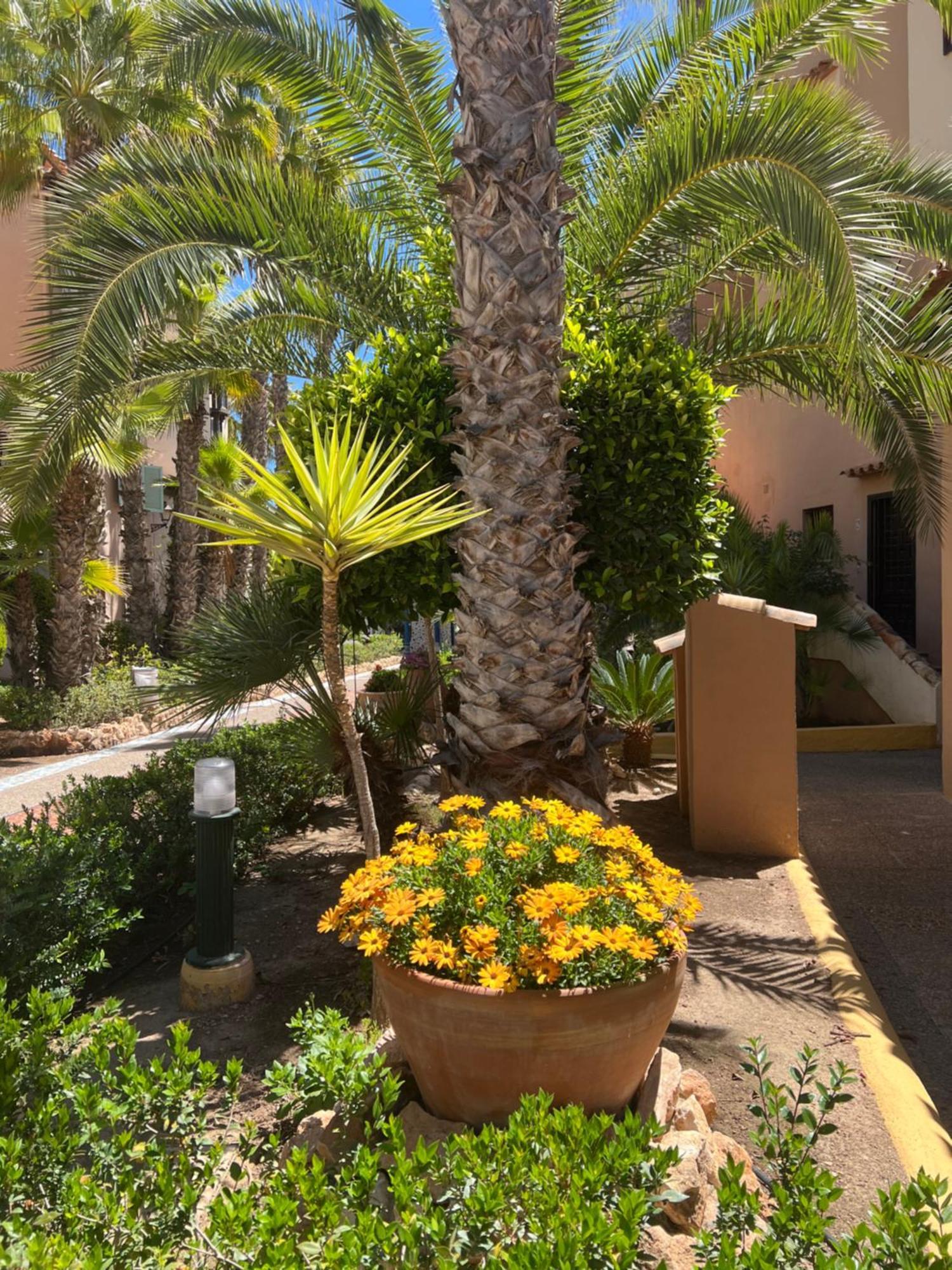 Casa Al Mare Aldea Lejlighed Torrevieja Eksteriør billede